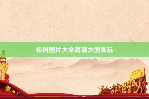 松树图片大全高清大图赏玩
