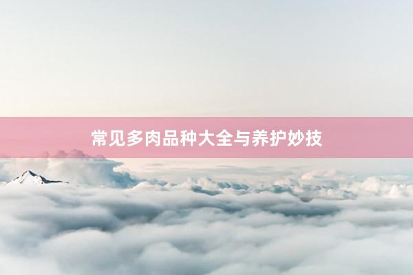 常见多肉品种大全与养护妙技