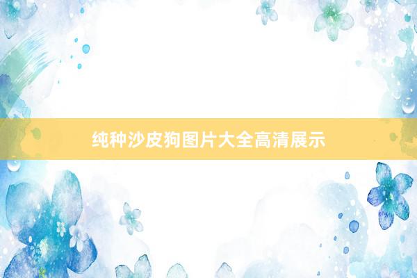 纯种沙皮狗图片大全高清展示