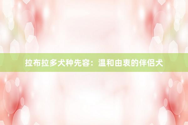 拉布拉多犬种先容：温和由衷的伴侣犬