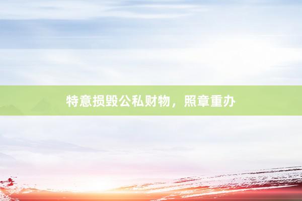 特意损毁公私财物，照章重办